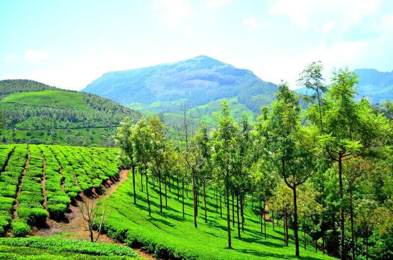 Munnar Hill Station