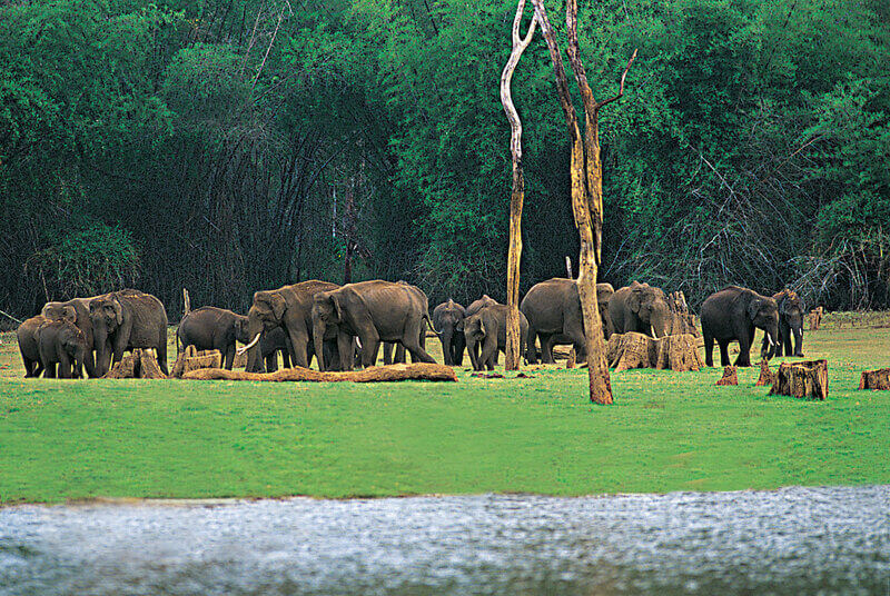 Periyar in Thekkady