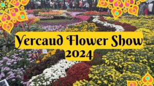 Yercaud Flower Show 2024