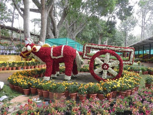 yercaud flower show 2024