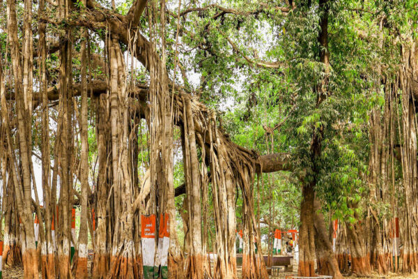 Kabirvad in Bharuch