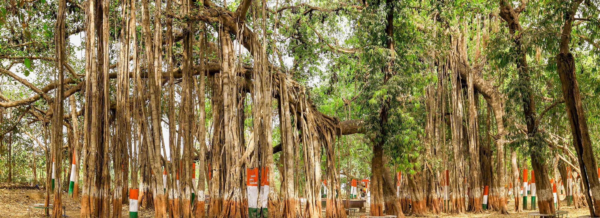 Kabirvad in Bharuch