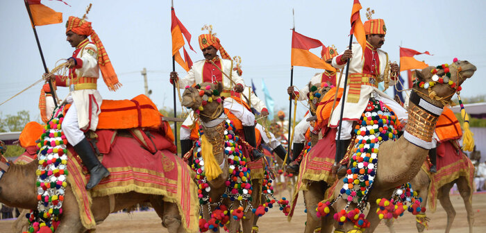 camel parade at border