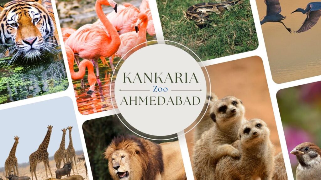 Kankaria Zoo and Lake in Ahmedabad