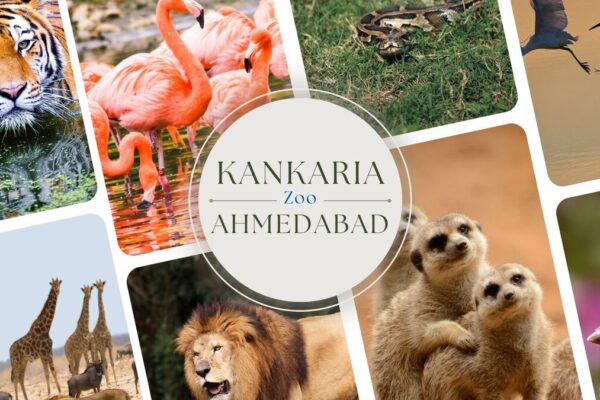 Kankaria Zoo and Lake in Ahmedabad