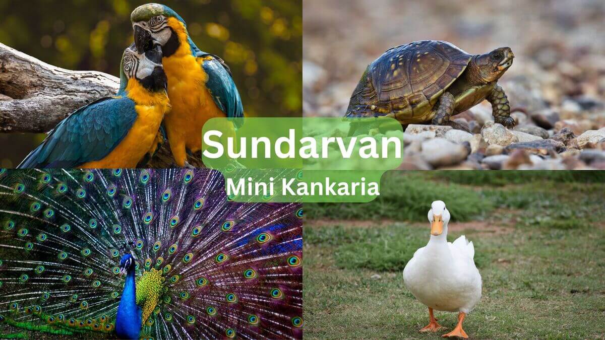 Sundarvan - Mini Zoo in Ahmedabad