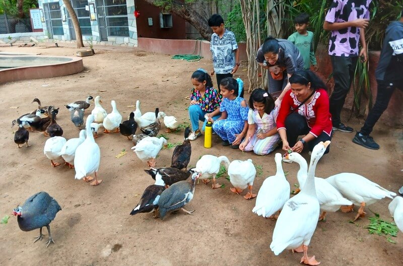 children feeding birds in Sundarvan