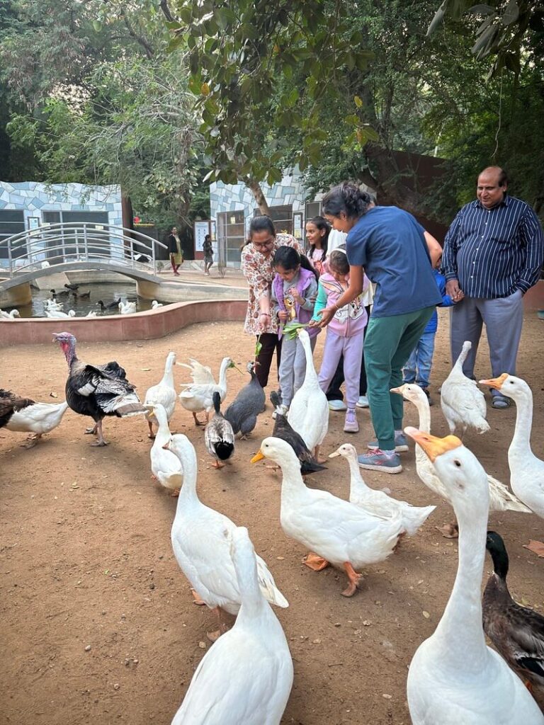 birds seen at Sundarvan