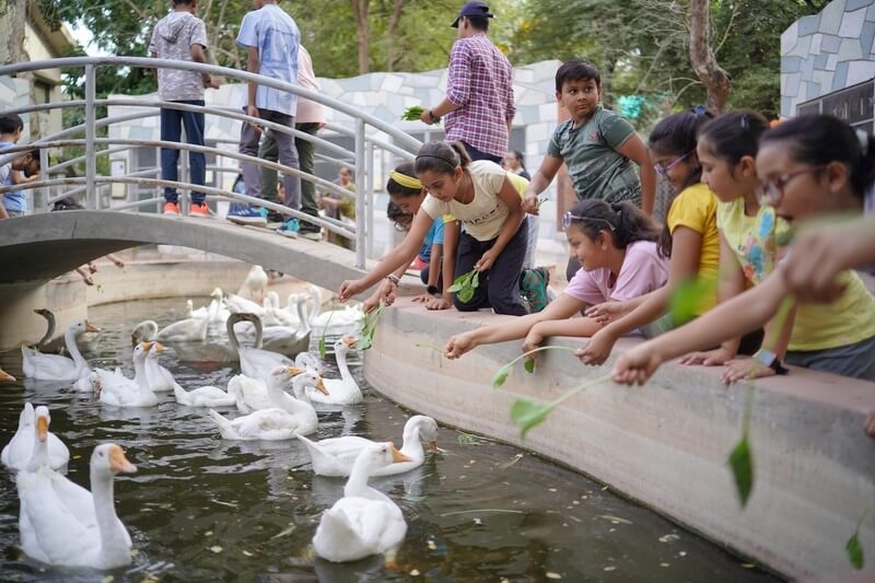 kids playing with duck near water at Sundarvan