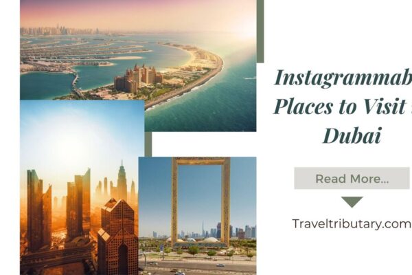 Instagrammable Places to Visit in Dubai